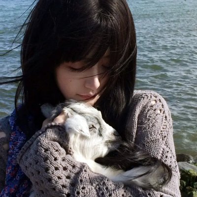 猴子的故事